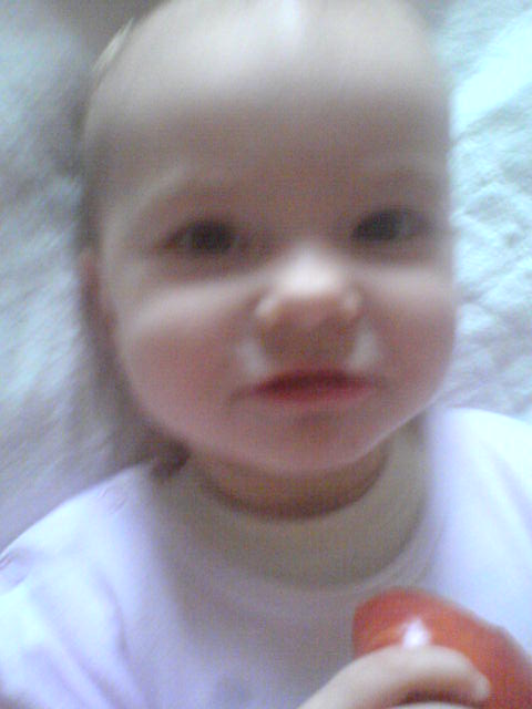 DSC00460.JPG