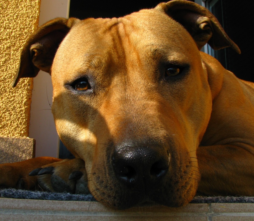 IMG_0213.JPG