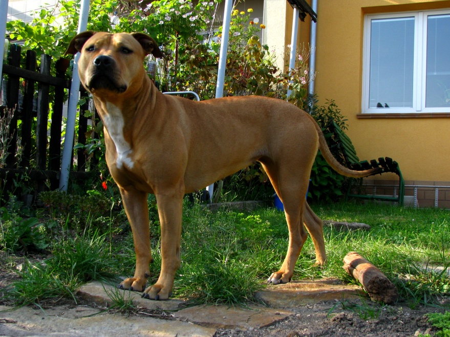 modelka