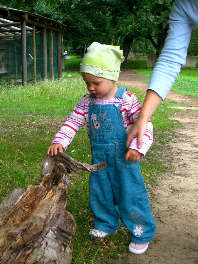IMG_1884.JPG