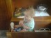 DSC00366.JPG