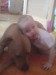 DSC00416.JPG